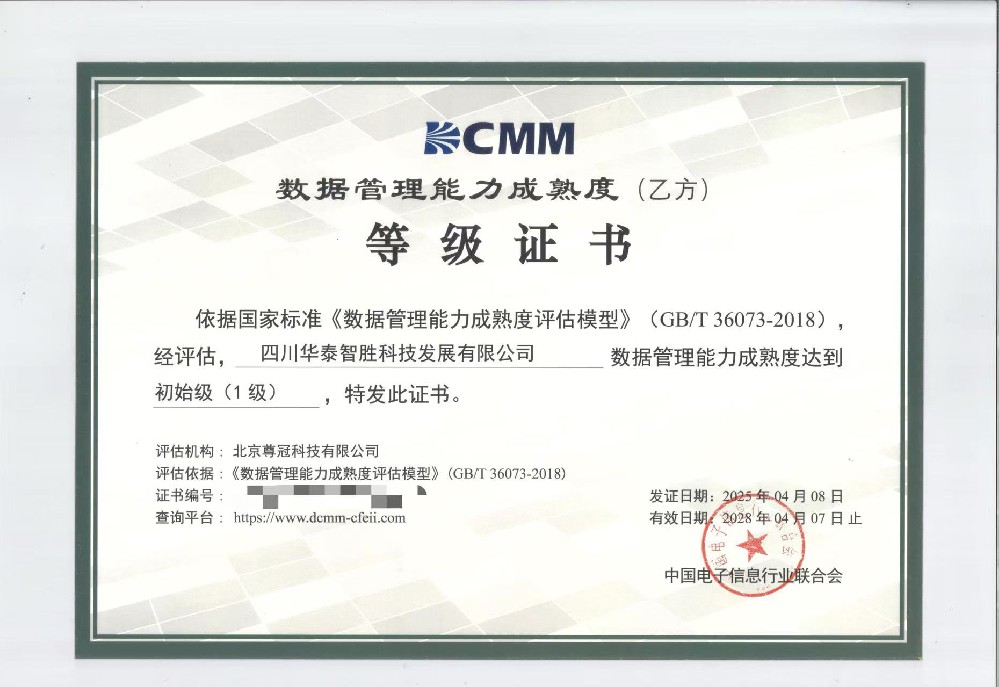 数据管理能力成熟度（乙方）