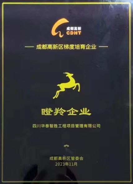 瞪羚企业证书